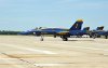 Blue Angels (Paul R. Kucher IV Collection)