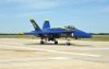 Blue Angels (Paul R. Kucher IV Collection)