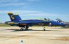 Blue Angels (Paul R. Kucher IV Collection)