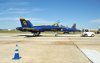 Blue Angels (Paul R. Kucher IV Collection)