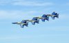 Blue Angels (Paul R. Kucher IV Collection)