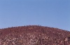 Groom Lake: Ford Truck on the Hill (Paul R. Kucher IV Collection)