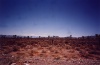 Groom Lake: Tikaboo Valley (Paul R. Kucher IV Collection)