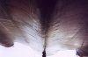 A-12 #60-6933 Underside at the San Diego Aerospace Museum (Paul R. Kucher IV Collection)