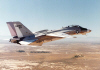 NASA F-14 in Flight (NASA Photo)