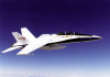 F-18 in Flight (NASA Photo)